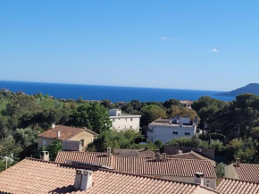 Beau 2 pièces calme avec vue mer imprenable et garage - Beautiful 2 room apartment with stunning sea view and garage